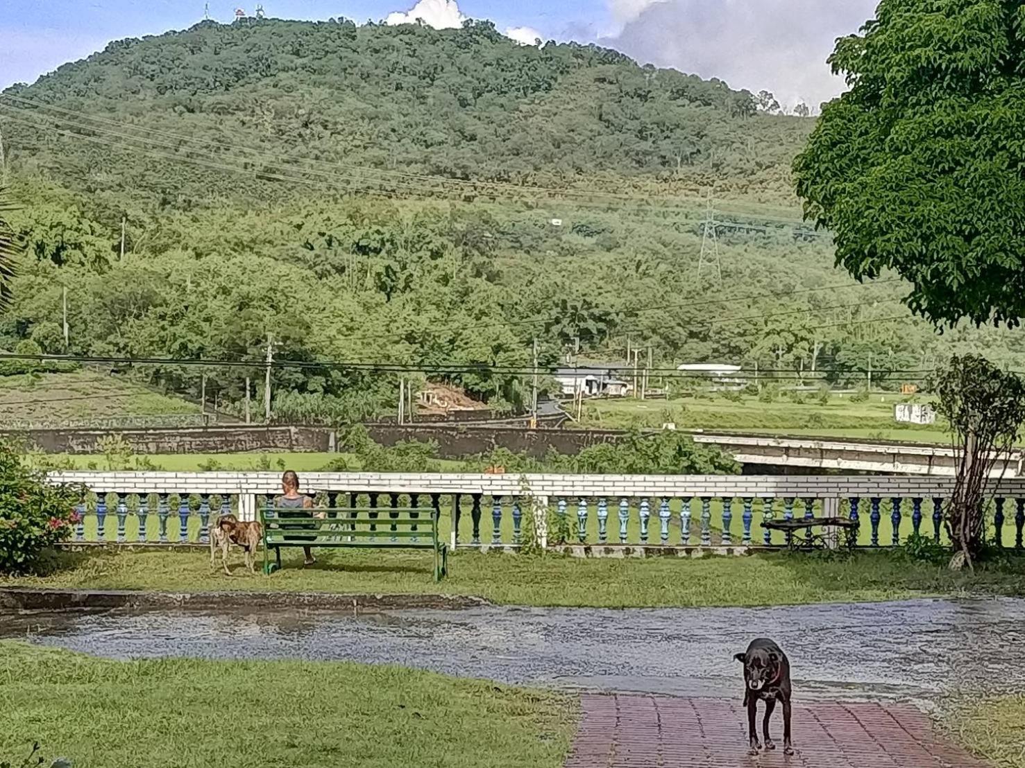 十畝田山莊會館 Hotel Чишанг Екстериор снимка